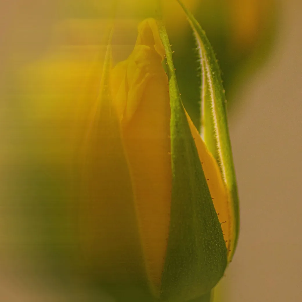 Resonanz